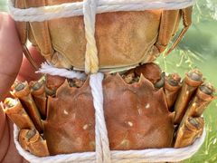 -品鲜村农家菜·阳澄湖大闸蟹(总店)