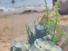 -青岛第一海水浴场
