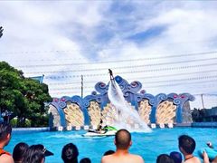 -苏州乐园森林水世界