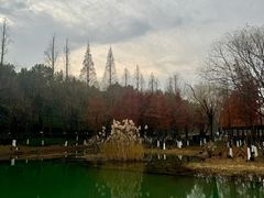 -南北湖风景区