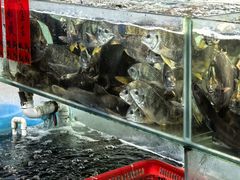 -大笑饭堂(甲子桥店)