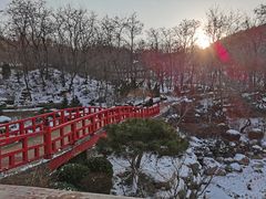 -大连植物园