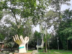 -瑞丽独树成林风景区