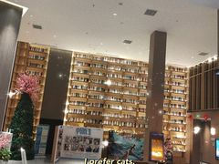 -深影国际影城(学院南路店CGS中国巨幕店)