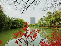 -黄兴公园