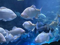 -多彩贵州城极地海洋世界