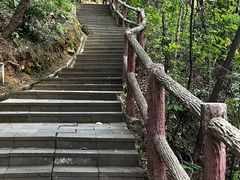 -铁山坪森林公园