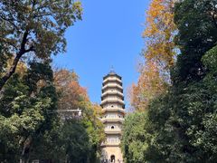 -灵谷景区