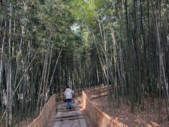 -乌镇东栅景区