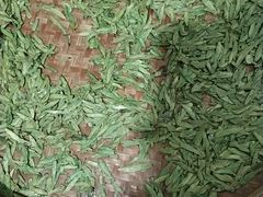 -中国茶叶博物馆(双峰馆区)
