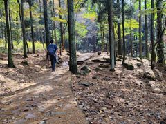 -四明山国家森林公园