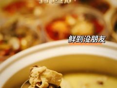 -金龙·打边炉(南京西路店)