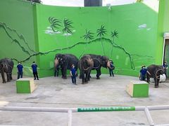 -大连森林动物园