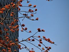 -江燕路万科里
