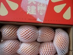 -沈阳市八家子水果批发市场