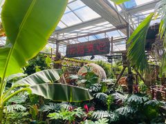 -呀路古热带植物园