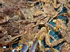 -龙宴海鲜城(经中路店)