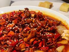 毛血旺-初蓉丨遇见新川菜(亲贤街荣耀店)