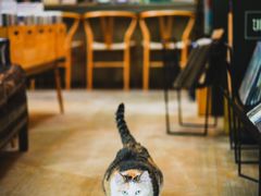 -黑胶星球(华发中城商都店)