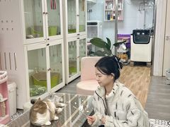 -青奢宠物·青奢猫舍