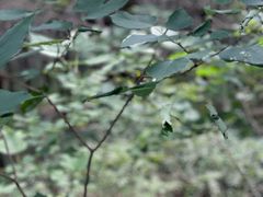 -青州市云门山风景区