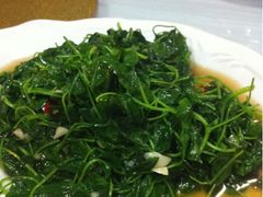 豆苗-徐府记羊肉馆
