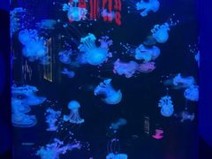 -梦幻海洋王国(吾悦广场张家港店)