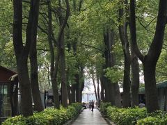 -溱湖国家湿地公园