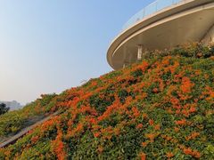 -白石龙音乐公园