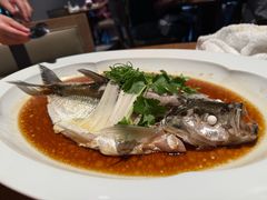 -宁波柏悦酒店·钱湖渔港