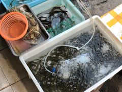 -桂萍特色牛筋牛杂(长堤街总店)