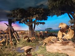 -国家自然博物馆