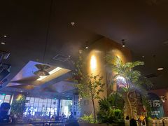 -同仁四季椰子鸡(宝安壹方城店)