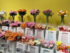 -盒马X会员店(上海森兰商都店)