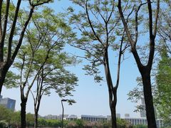 -尚贤河湿地