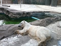 -北京动物园-畅观楼