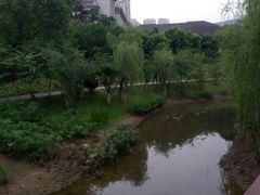 -沐仙湖湿地公园