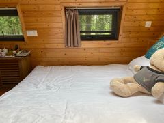 -黄海国家森林公园