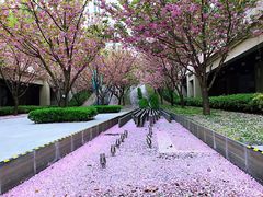 -仁恒西郊花园