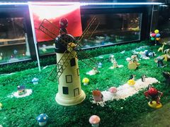 -BossBabe亲子餐厅(金光华广场店)