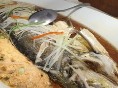 -丹江渔村(望京店)