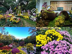 -杭州植物园