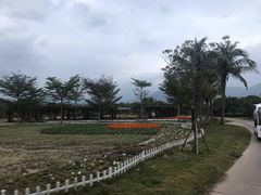 -亚龙湾国际玫瑰谷