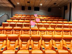 -华美国际影城(旧宫永辉店)