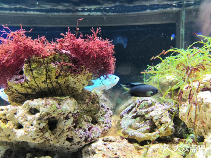 郑州海洋馆图片