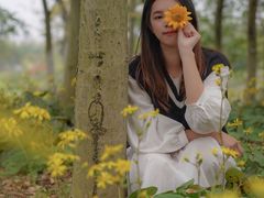 -瑶湖郊野森林公园