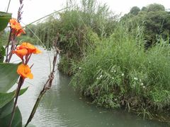 -贵阳市花溪国家城市湿地公园