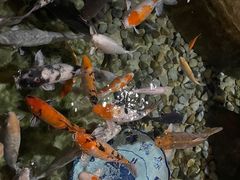 -北京海洋馆