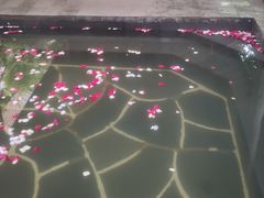 -昆明柏联SPA温泉