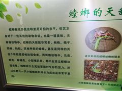 -上海昆虫博物馆